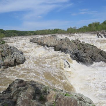 Nature, Government, History, Christianity