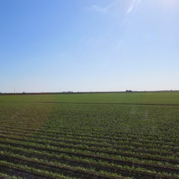 A Life Changing Message