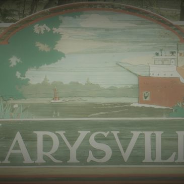 Lessons Learned in My Youth