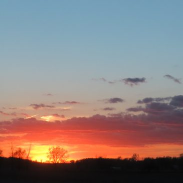 God Answers a Mother’s Prayer